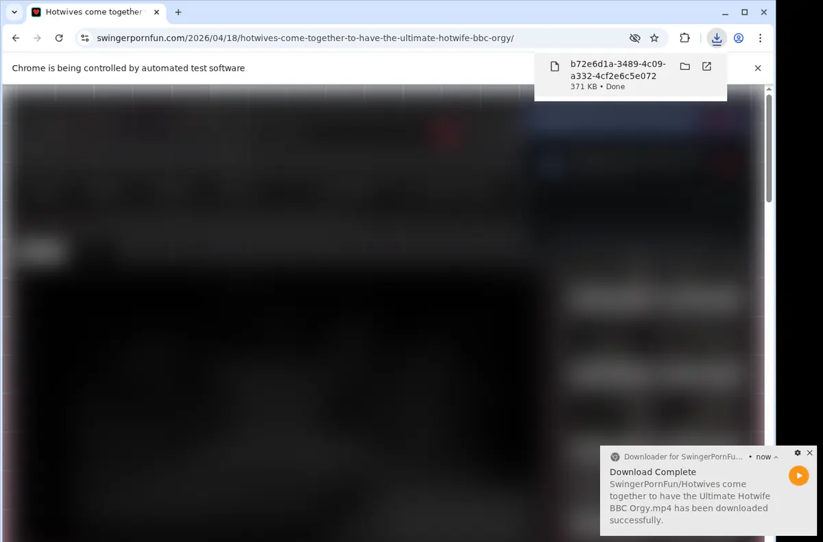 Swingerpornfun Video Downloader screenshot 2
