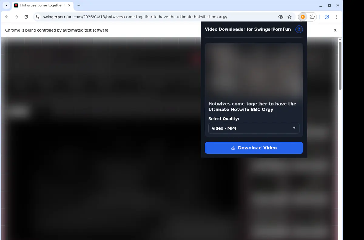 Swingerpornfun Video Downloader screenshot 3