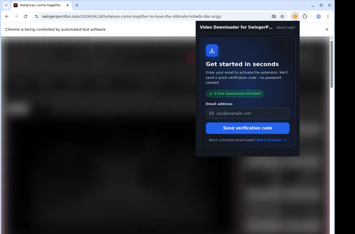 Swingerpornfun Video Downloader screenshot 5